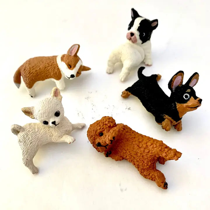 Playful Hanging Dogs