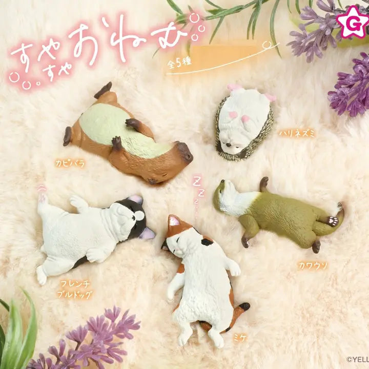 Sleeping Animals