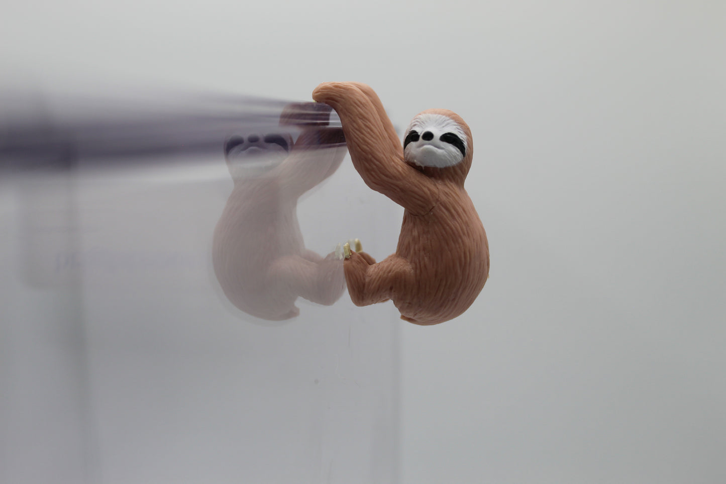 Sloth