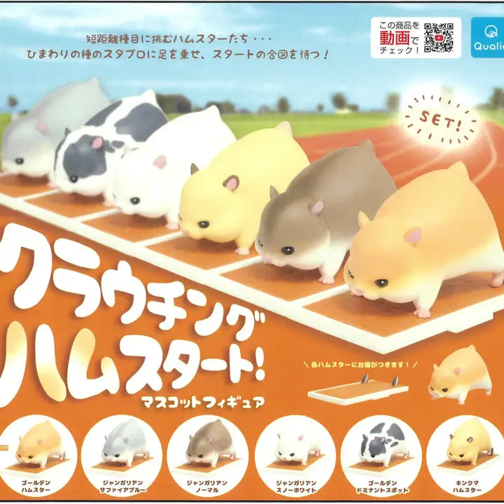 Hamster Racers