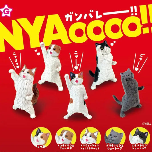 Nyaoo Cheer Cats